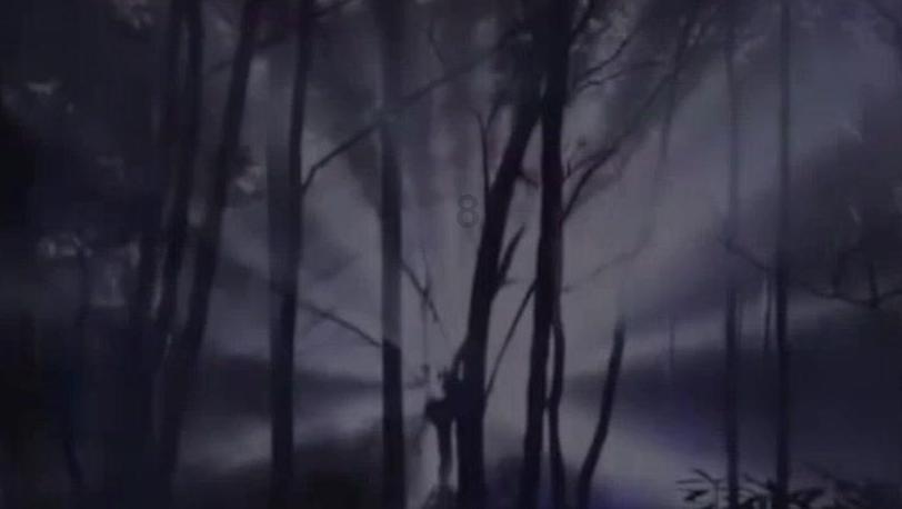 小鸡恰恰舞是什么?怎么突然火了?知识星球-独家知识共享平台