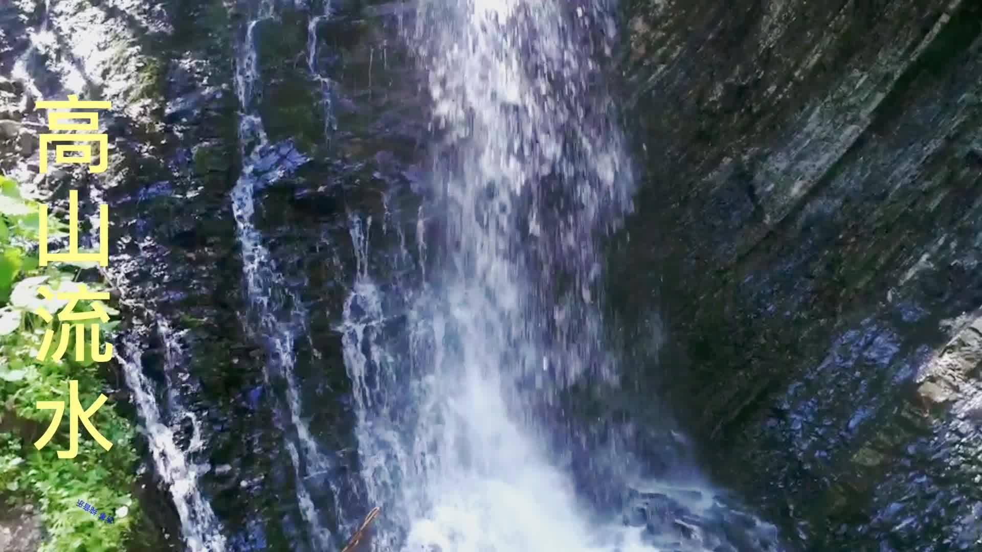 救援男孩与狗