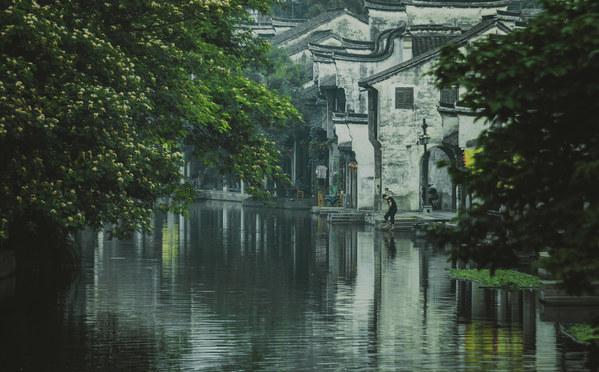 独步竹林